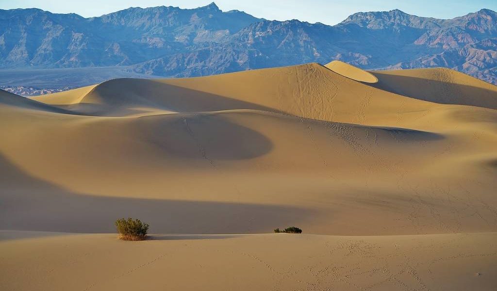 Les plus beaux parcs nationaux à explorer au Botswana