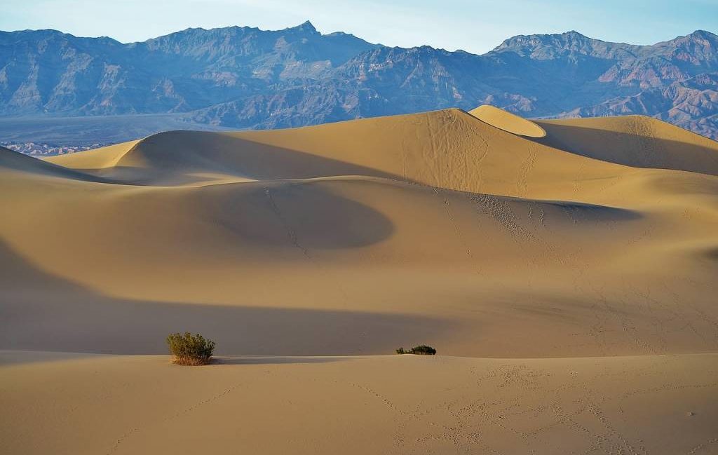 Les plus beaux parcs nationaux à explorer au Botswana