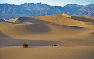 Les plus beaux parcs nationaux à explorer au Botswana