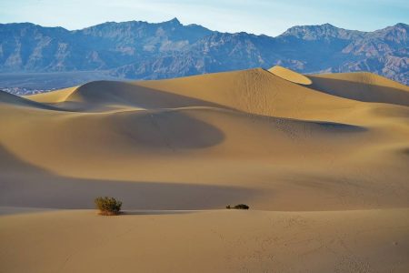 Les plus beaux parcs nationaux à explorer au Botswana