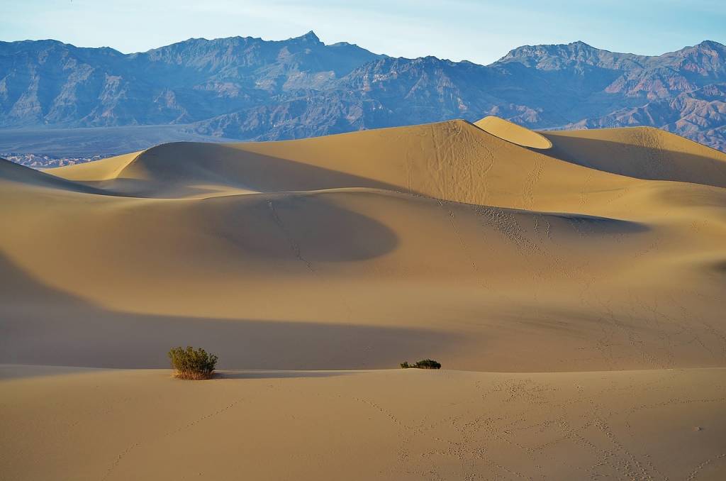 Les plus beaux parcs nationaux à explorer au Botswana